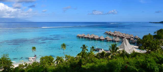 Visite privée dans Moorea