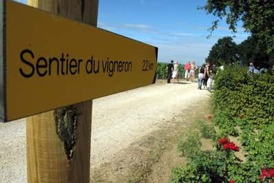 Sentier du vigneron