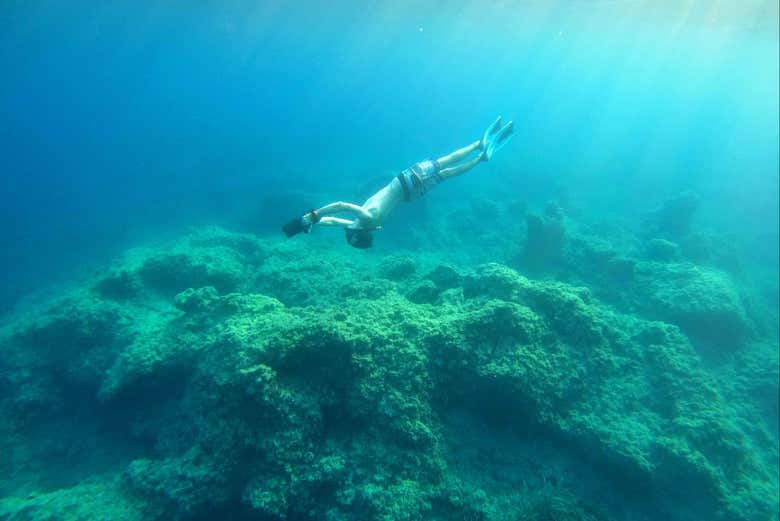 ¡Os lo pasaréis en grande!