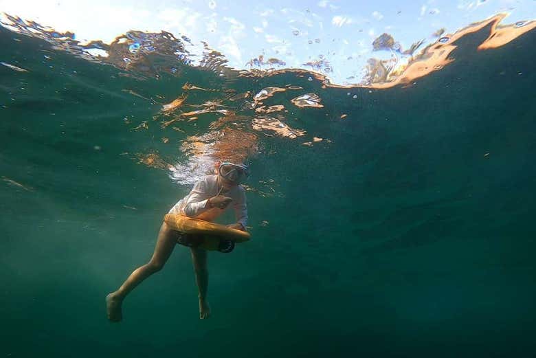 Il divertimento è assicurato!