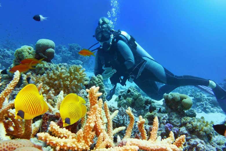 Explorando los fondos marinos de Niza