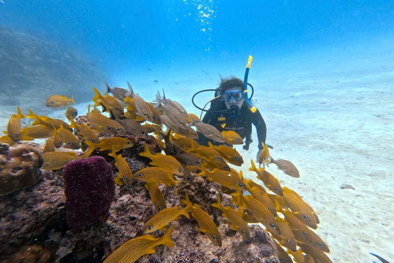 Disfrutando de la experiencia de bautismo de buceo
