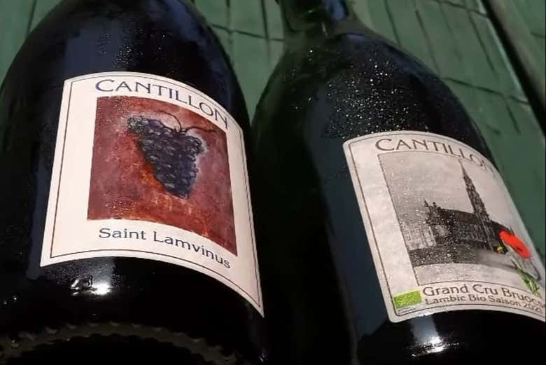Vous dégusterez différents vins locaux