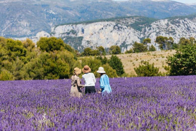 Vista a los campos de lavanda
