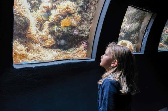 Entrada al Aquarium de París