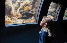 Billet pour l'Aquarium de Paris