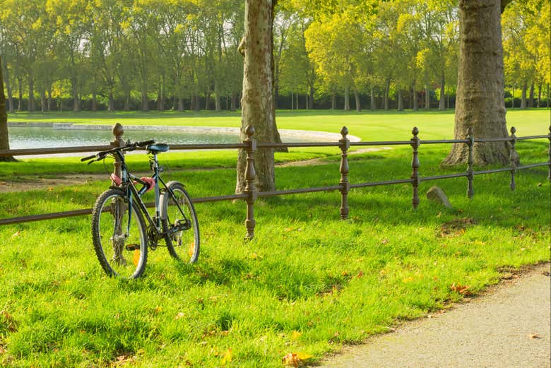 Bicicleta en un parque de Versalles