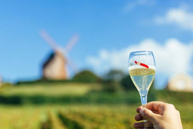 Bodega Mumm
