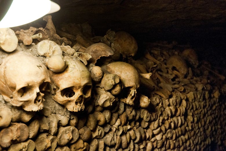 Skulls of the Paris Catacombs up close