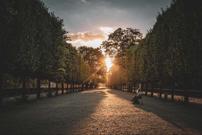 A vista espetacular do Jardim de Tuileries