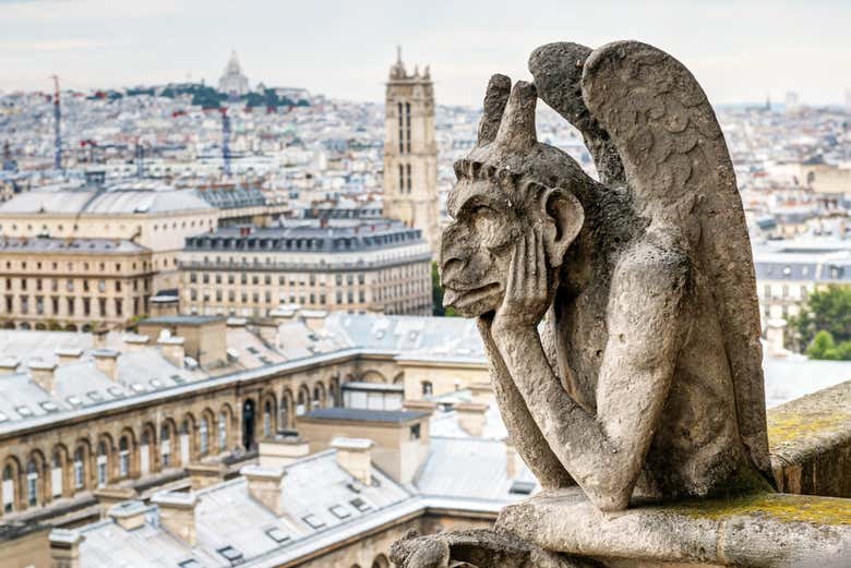 Notre Dame gargoyles
