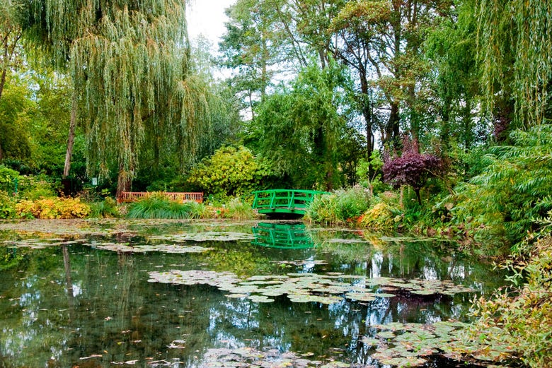 Jardín de nenúfares, inspiración de Monet