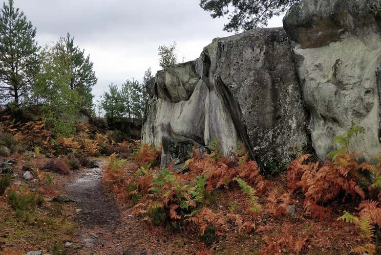 Le formazioni rocciose di Fontainebleau