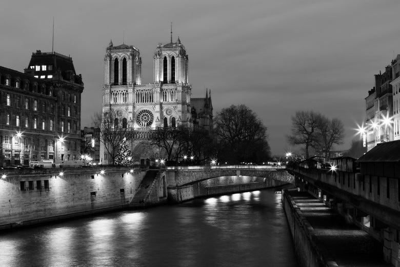 Notre-Dame depuis la Seine 