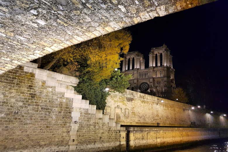 Notre Dame desde el río Sena