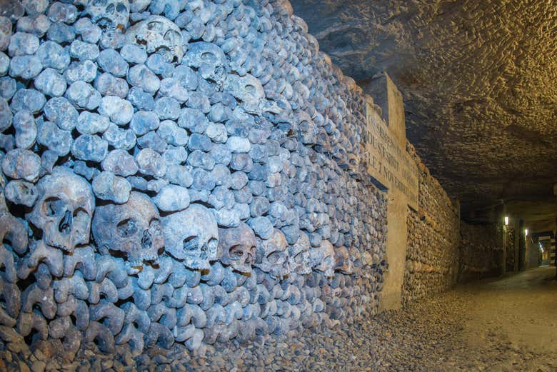 Podréis recorrer a vuestro aire las distintas galerías