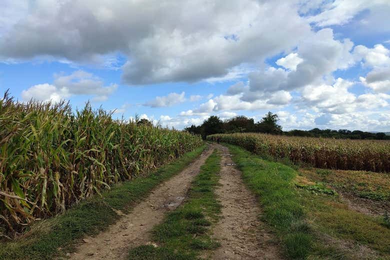 Take a walk in the Vexin region