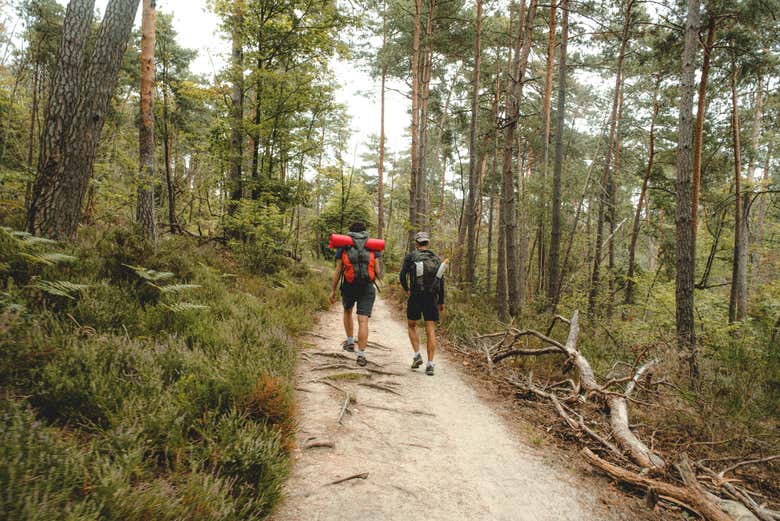 Percorrendo i sentieri della foresta di Fontainebleau
