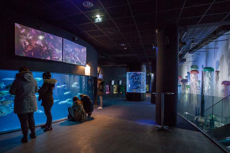 Podréis recorrer el Aquarium de París al completo