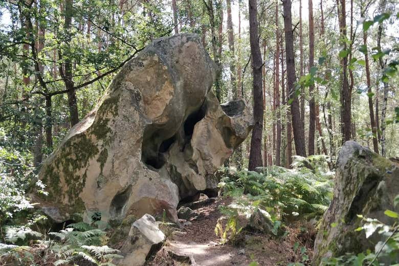 Roccia nella foresta di Fontainebleau