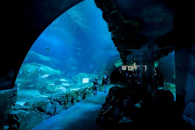  Cineaqua, Aquarium de París