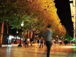 Campi Elisi di notte