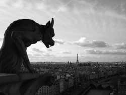 Histoire de Paris, vue de Notre-Dame