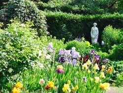 Jardin des Plantes au printemps
