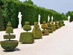 Jardins de Versailles, haies et statues
