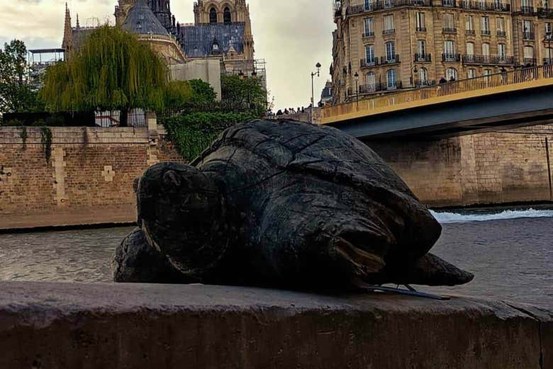 La tortuga del Sena