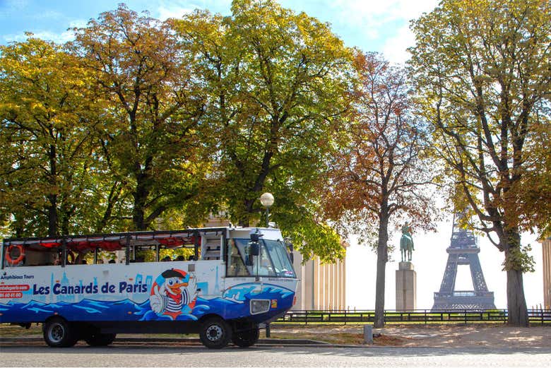 Pendant la balade