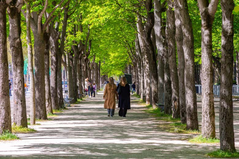 Caminando por la vereda arbolada de los Campos Elíseos