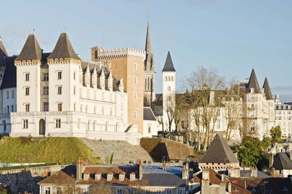 Billet pour le Château de Pau