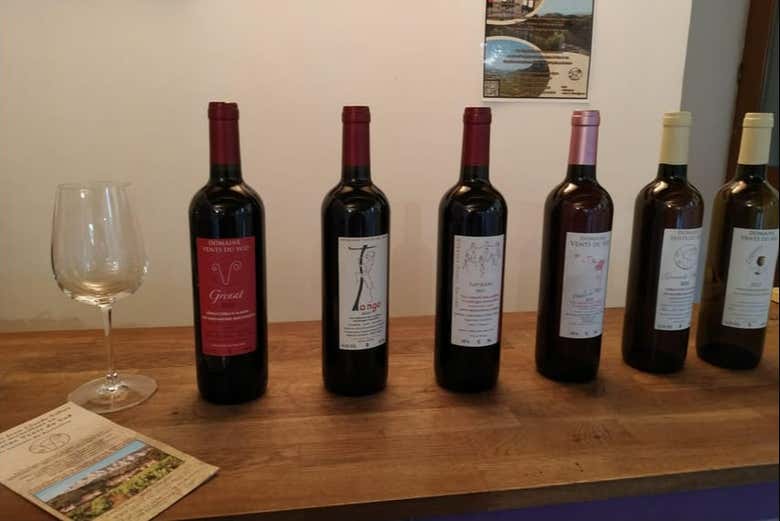 Dégustez différents vins du sud de la France