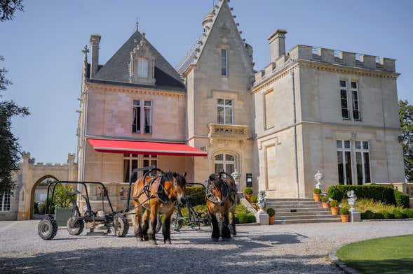 Visita ao Château Pape Clément