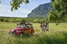 Languedoc Winery Private Tour & Tasting in Vintage Car