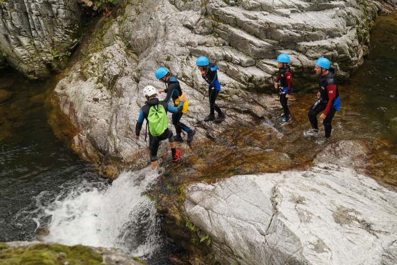 Following the instructor
