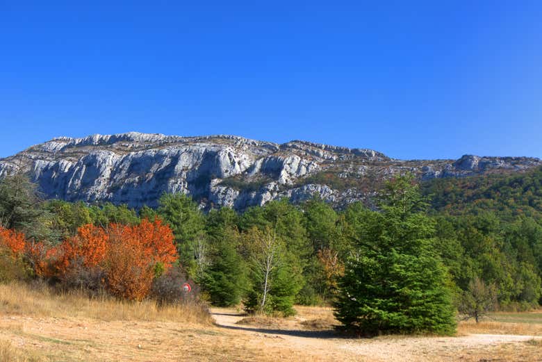 Entorno natural de la gruta de Sainte-Baume