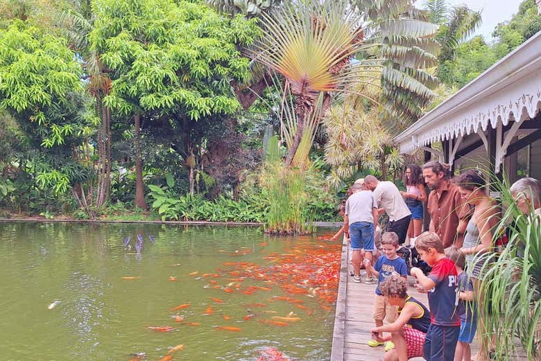 Profitez de la visite au jardin botanique