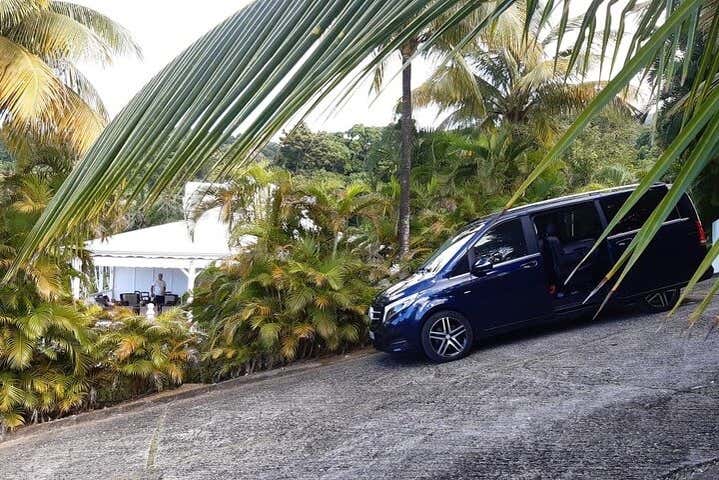 Fazendo um tour privado por Guadalupe