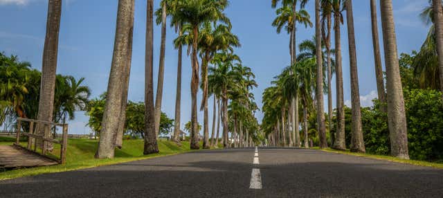 Tour en moto por Guadalupe