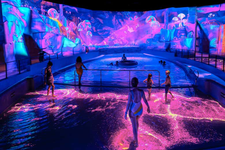 Ambiente violeta en la zona acuática cubierta de Aquascope