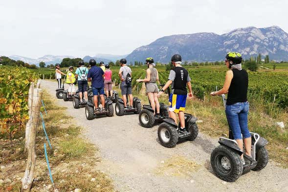 Balade en segway dans les vignobles du lac Saint-André