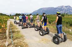 Tour en segway por los viñedos del lago de San Andrés