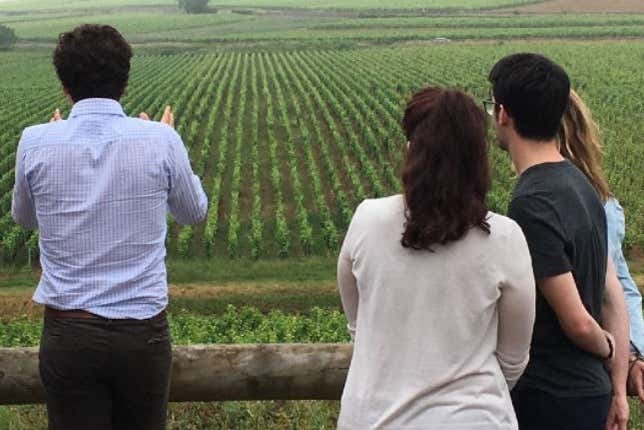 Contemplando los viñedos