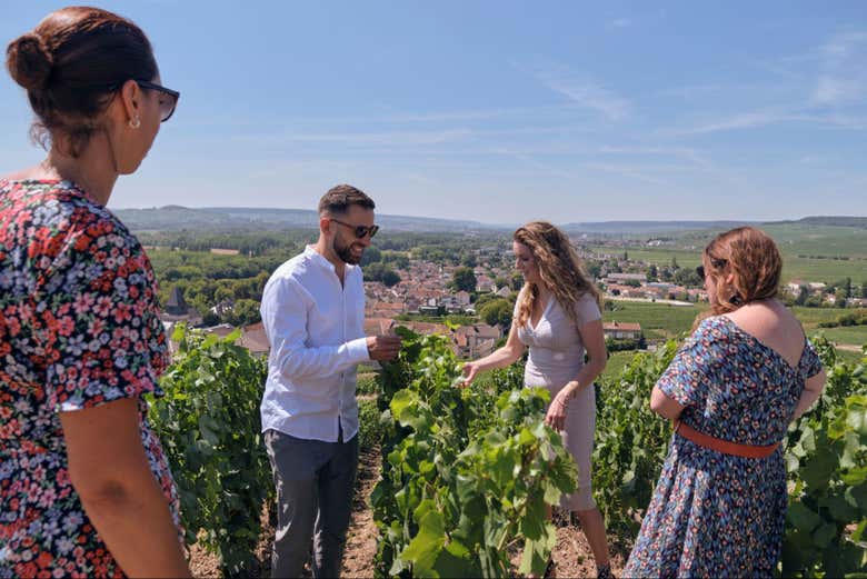 Our knowledgeable guide will share great insights