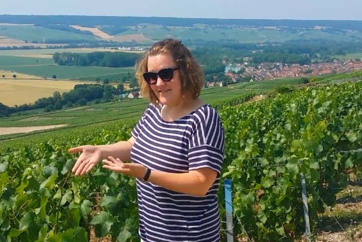 Descubriendo los viñedos de las bodegas