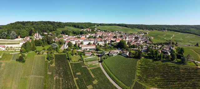 Tour dello champagne a Épernay, Hautvillers e Mareuil-sur-Ay