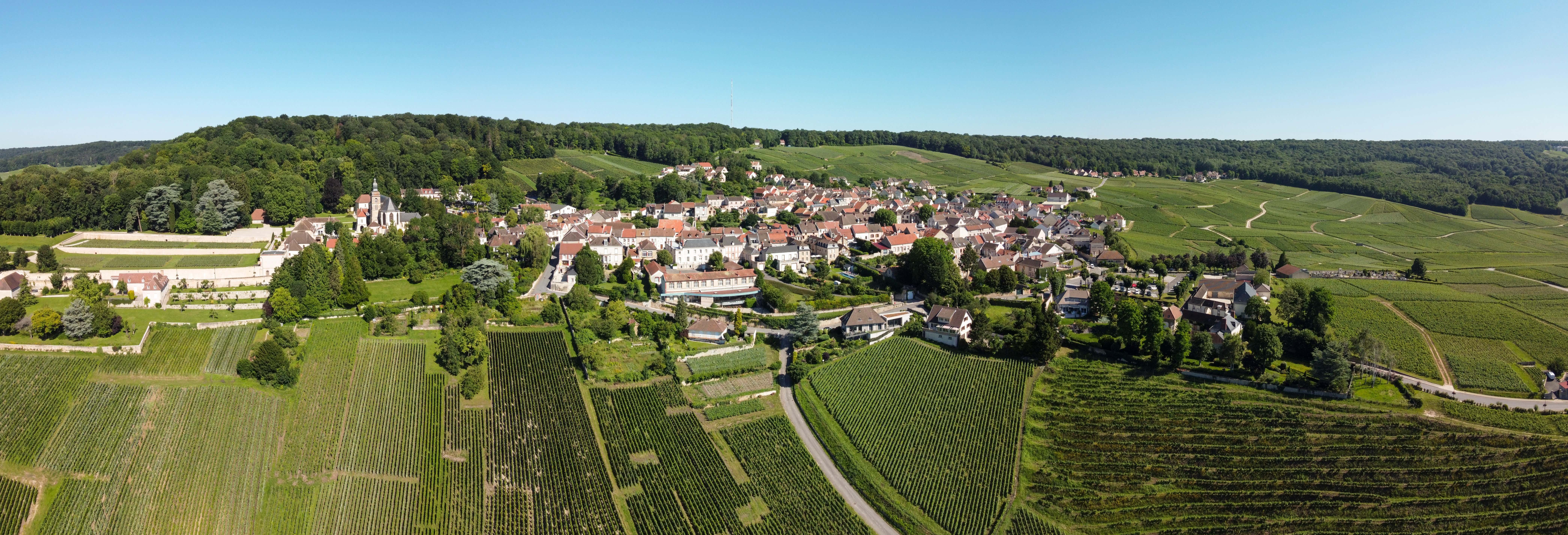 Gastronomía y enoturismo en Reims