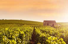Tour por Reims y la bodega Veuve Clicquot